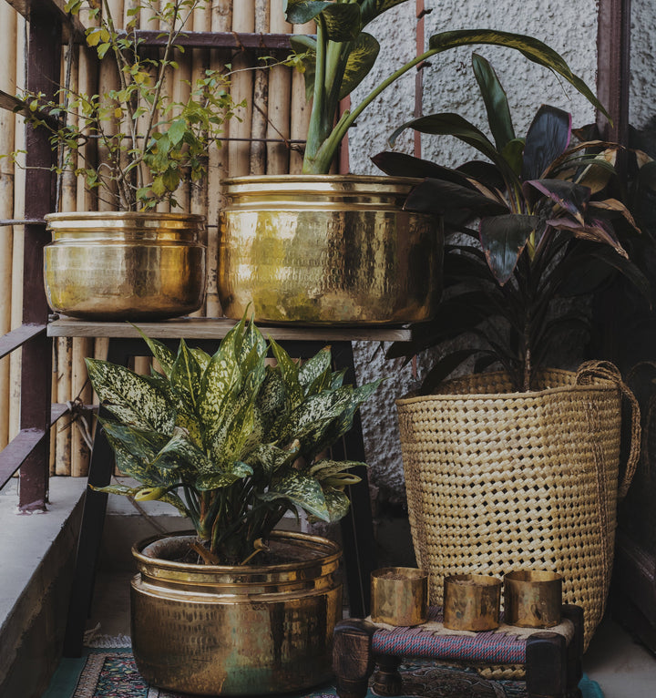 Brass Planters