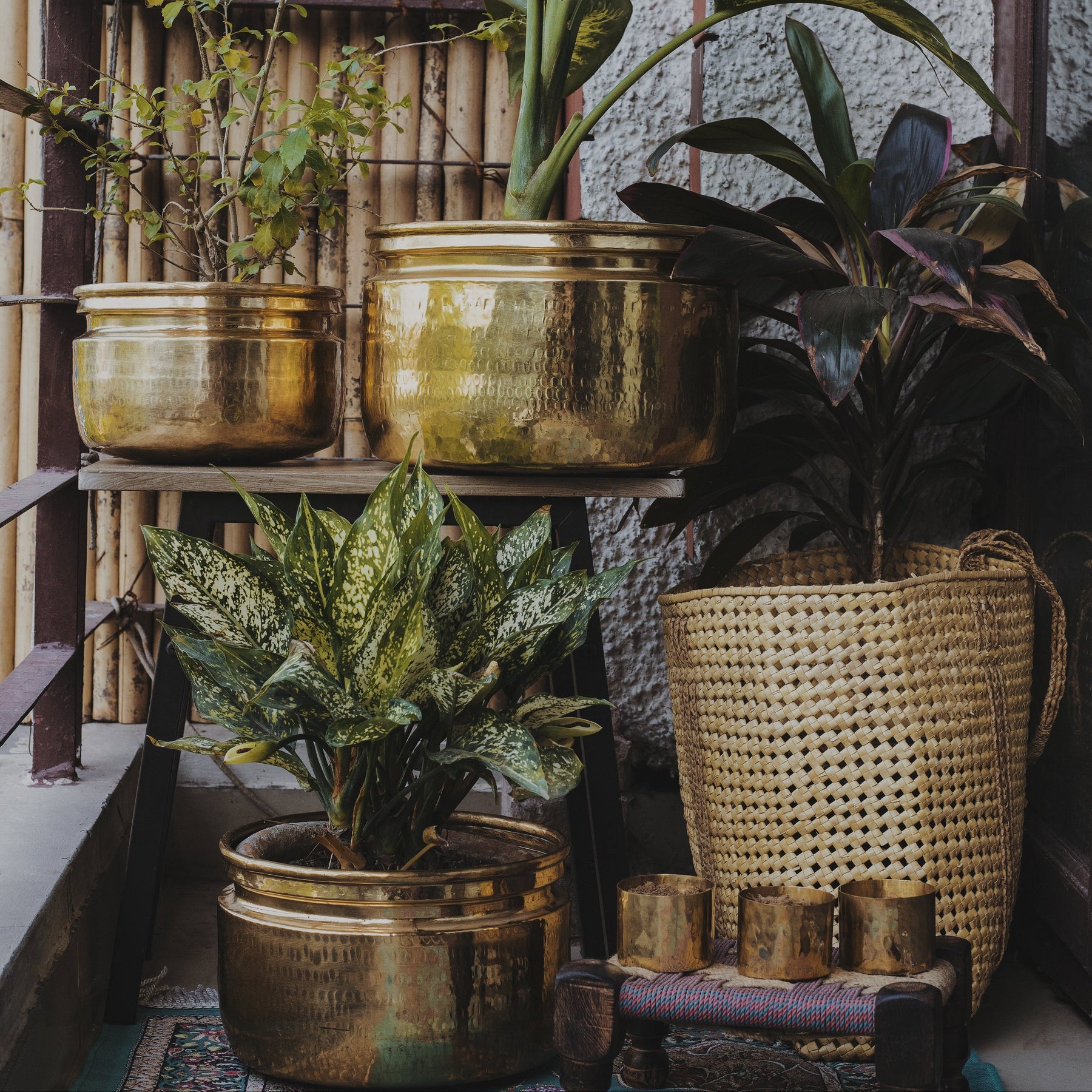 indoor plants in brass pots Brass Planters for Indoor Plants for Sale - Brass Flower Pot